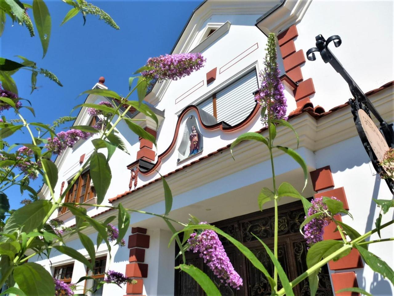 Gastehaus Benvenuto Hotel Sooss Exterior foto